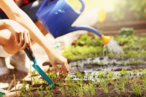 A gardener's hands are shown planting young seedlings into prepared soil in a landscaped backyard garden, with a blue watering can pouring water over the plants. The garden features a neatly maintained grass lawn in the foreground, bordered by a wooden edge, and various shrubs and small flowering plants in the background. The soil appears dark and moist, indicating recent watering or planting activity. Sunlight illuminates the scene, suggesting a clear, bright day, with natural light enhancing the vibrant green hues of the plants. The setting exemplifies a well-maintained outdoor space suitable for gardening services such as planting, lawn care, and landscape enhancement in Tottenham. The focus is on the detailed action of planting, underscoring the importance of careful garden cultivation and soil preparation typical of professional gardening and landscaping work by Landscapers Tottenham near the Tottenham postcode area.