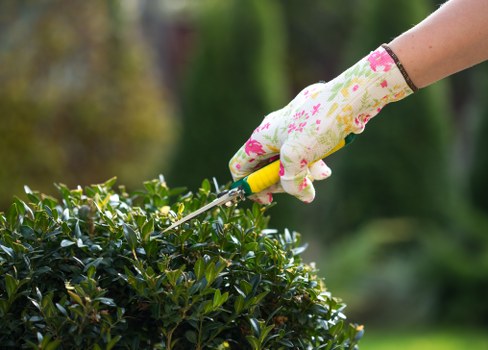 Landscaper reviewing a customer complaint in a garden setting