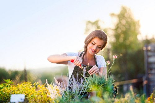 A woman in a garden with a lush, well-maintained lawn in the foreground, featuring densely grown green grass. Behind her, there are various flowering plants with small, colourful blossoms and green foliage, arranged along flower beds and edging. To the right, a wooden garden fence or boundary is visible, suggesting a back garden space. The scene is illuminated by soft, natural daylight, indicating fair weather, with some trees and shrubbery in the background providing a natural backdrop. The woman appears to be planting or tending to the garden, adding a dynamic element to the outdoor environment. The garden design includes a combination of grassy areas and cultivated flower beds, typical of residential outdoor spaces in Tottenham, London. The overall scene reflects a tidy, cultivated garden space suitable for outdoor gardening services offered by Landscapers Tottenham, with natural colours of green, yellow, and pink complementing each other, and framing a serene, inviting environment perfect for outdoor leisure or gardening projects.
