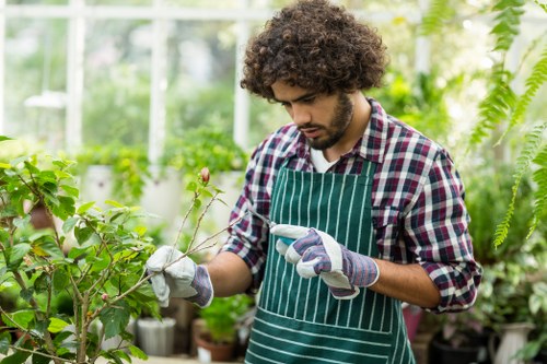 A young man with curly brown hair, wearing a plaid shirt, a green and white striped apron, and gardening gloves, is carefully examining a small pink flowering branch in a lush greenhouse. The greenhouse environment is filled with various green plants, including leafy foliage, potted plants, and tall hanging ferns, with natural light filtering through the glass panels, creating a bright and vibrant atmosphere. The background shows additional plants and gardening tools, indicating a well-maintained indoor garden space, consistent with professional gardening and landscaping practices in the Tottenham area. This scene highlights attention to plant care and precise gardening techniques suitable for garden renovation services offered by Landscapers Tottenham, emphasizing a focus on healthy plants, greenery, and outdoor readiness within a controlled environment.
