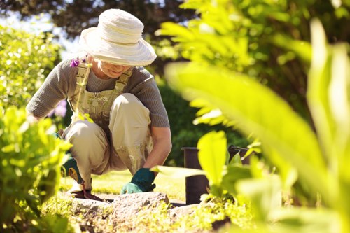 Professional landscaper designing a garden layout
