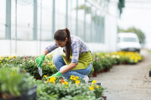 A woman wearing a plaid shirt, jeans, and green gardening gloves is crouched down in a garden, tending to colorful flower beds with yellow and purple blooms. She appears to be planting, pruning, or weeding in a well-maintained outdoor space with a paved pathway on the right. The garden features a mix of neatly arranged flower beds bordered by soil and mulch, with lush greenery and small shrubs in the background. Behind her, there are tall glass greenhouse or conservatory structures, suggesting a professional gardening or landscaping environment. The scene is illuminated by natural daylight, with a slightly overcast sky that softens shadows, indicating a mild weather day. In the distance, a white van is parked, and some trees are visible further back, adding to the suburban or community garden setting. This image aligns with professional gardening services, such as those offered by Landscapers Tottenham, and emphasizes outdoor maintenance, plant care, and landscape enhancement within the local area near Tottenham postcode in London.