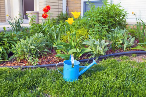 Seasonal garden maintenance and clearance activities