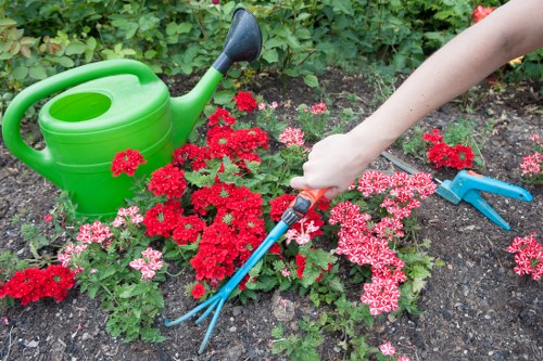 The image shows a garden scene with a variety of blooming pink and red flowers, likely sempervivums or similar succulent plants, planted in well-maintained soil. A person's hand is visible, using a small garden fork to tend to the flower bed, which is bordered by lush green foliage. To the left, there is a bright green plastic watering can with a black spout, placed among the plants. In the background, dense leafy shrubbery adds structure to the outdoor space, suggesting a carefully landscaped garden. The scene is well-lit with natural daylight, indicating favorable weather conditions for gardening. This setting emphasizes outdoor plant care and garden maintenance, aligning with services offered by companies like Landscapers Tottenham, who provide gardening and landscaping solutions in the Tottenham area or nearby postal code zones. The arrangement reflects a neatly organized garden space suitable for outdoor beautification, lawn care, and planting activities, supporting needs for patio or garden area improvements and ongoing garden upkeep.