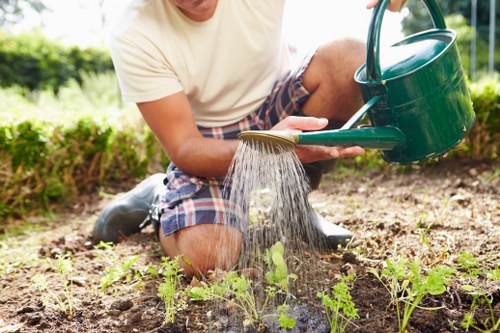 A person kneeling on a garden bed in a landscaped outdoor area, watering young green plants with a green watering can. The garden features a neatly maintained lawn in the foreground, bordered by planted flower beds and shrubs, with a backdrop of mature trees and hedges. The soil appears rich and well-tilled, with healthy plant growth. The scene is illuminated by natural daylight, suggesting a clear or partly cloudy day, creating a bright and vibrant outdoor environment. This image reflects a typical garden setup that could benefit from professional landscaping and gardening services offered by companies such as Landscapers Tottenham, especially in nearby areas of Tottenham and the N15 postcode district, contributing to well-maintained outdoor spaces in the local community.