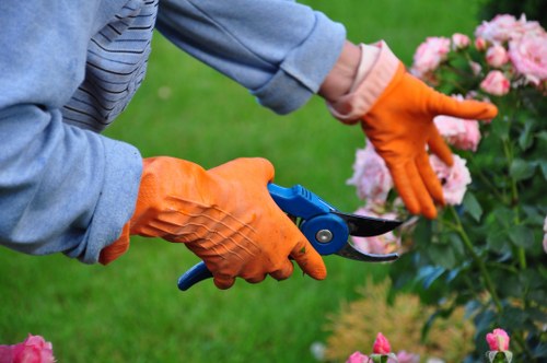 A gardener wearing bright orange gloves is trimming a pink flowering shrub with a pair of garden scissors in a well-maintained outdoor space. The garden features a lush green lawn in the foreground, with a neatly edged flower bed containing the pink flowering plant and other foliage, suggesting careful planting and landscaping typical of Tottenham gardens. In the background, there are additional plants and possibly small trees, creating a layered garden layout suitable for small to medium-sized residential outdoor areas in the Tottenham area. The weather appears mild with natural daylight illuminating the scene, highlighting the vibrant colors of the flowers, the green grass, and the gardener's gloves. Such garden maintenance and planting care supports outdoor aesthetic and environmental health, and is a common service offered by landscaping and gardening specialists like Landscapers Tottenham in this part of north London, focusing on creating attractive and sustainable outdoor spaces.