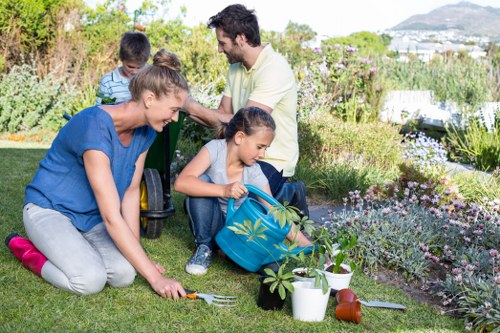 Professional lawn mowing equipment