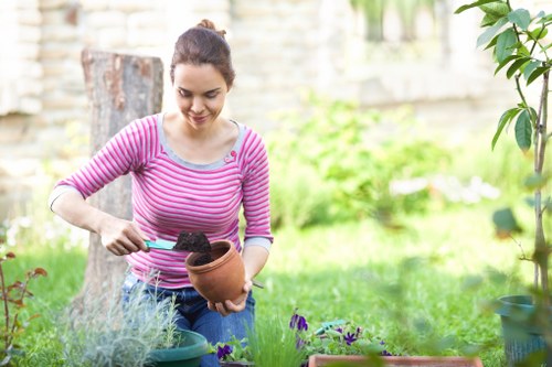 Professional tree assessment in Tottenham