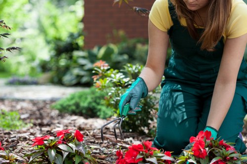 A gardener wearing a yellow shirt and teal overalls is tending to a flower bed in a landscaped garden, using small gardening tools to prune and manage vibrant red flowering plants. The garden features a lush green lawn in the foreground, with an array of shrubs, flowering plants, and trees creating a natural backdrop. Bright sunlight illuminates the scene, highlighting the textures of the neatly edged flower bed and the healthy foliage. In the background, a brick building partially obscured by foliage suggests a residential environment typical of Tottenham. The scene reflects professional outdoor maintenance and gardening practices, suitable for local landscaping services ensuring well-kept gardens and attractive outdoor spaces.