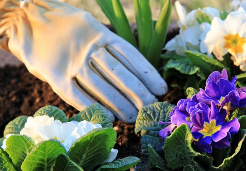 A close-up image of a gardener's hand wearing a light grey gardening glove, gently tending to a vibrant flower bed in an outdoor garden. The flower bed features a mix of flowering plants with white, purple, and yellow blossoms, surrounded by lush green leaves. The soil appears rich and dark, providing a healthy base for the plants. In the background, there are some green foliage and plant stems, indicating a well-maintained garden area. The setting suggests a landscaped front or backyard, with natural daylight highlighting the vivid colors of the flowers and the textures of the leaves and soil, illustrating professional gardening maintenance that a company like Landscapers Tottenham might provide in the local area of Tottenham or nearby neighborhoods.