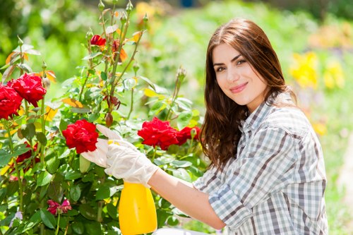 A young woman with long brown hair, dressed in a light-colored checkered shirt and wearing white gardening gloves, is tending to vibrant red roses in a well-maintained front garden. She is holding a yellow spray bottle in one hand and gently inspecting or pruning the flowers with the other, smiling softly while focusing on the plant. The garden features lush green foliage, with the roses blooming prominently in the foreground. Behind her, there is a mix of greenery, including small shrubs and possibly a hedge, with dappled sunlight filtering through the surrounding trees, creating a bright and inviting outdoor space. The grass in the garden appears dense and healthy, and the scene is set during a clear day, suggesting suitable weather for outdoor gardening. This natural, professionally maintained garden aligns with the gardening services offered by Landscapers Tottenham, who specialise in outdoor plant care and garden landscaping in the Tottenham area, including nearby postcode districts. The overall image highlights attentive garden maintenance, plant health, and the aesthetic appeal of a landscaped yard, suitable for a garden or landscaping website like landscaperstottenham.co.uk, under their Tottenham shed fitting and gardening service categories.