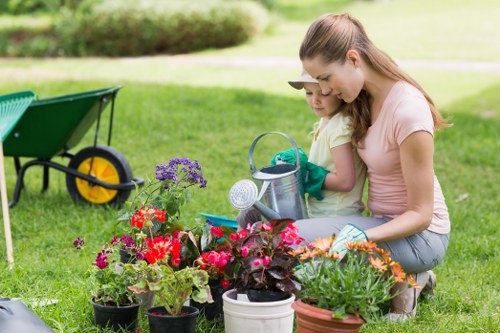 Seasonal lawn care activities
