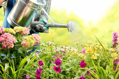 A gardener's hand wearing a grey glove is seen watering a vibrant flower bed with a silver watering can. The flower bed features various plants, including pink and purple flowering plants, yellow and white daisies, and lush green foliage. The scene appears to be outdoors in a well-maintained garden, with bright sunlight illuminating the colorful blooms and casting a warm glow on the scene. The background shows a blurred area of green plants and foliage, suggesting a spacious garden setting typical of residential outdoor spaces in Tottenham. This image reflects professional gardening practices related to plant care and garden maintenance in the local area, with a focus on nurturing flower beds and enhancing outdoor aesthetics, aligning with services offered by Landscapers Tottenham.