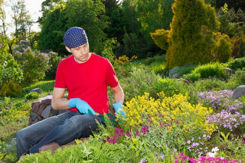 A man wearing a red t-shirt, blue gardening gloves, and a navy blue patterned hat is tending to a well-maintained garden in Tottenham. He is seated on a low stone wall or garden edging, carefully examining or pruning vibrant flowering plants that include yellow, purple, and pink blooms. The garden features a lush, dense backdrop of tall trees and shrubs, with a variety of textures from neatly trimmed borders to more natural, wild areas. In the foreground, there are lush green grass and a mix of flower beds containing perennial plants and ground cover, all arranged in natural, flowing lines. The weather appears sunny and warm, with bright natural light illuminating the scene, emphasizing the rich greens and vivid flower colours. This outdoor space demonstrates a professionally maintained garden designed for aesthetic appeal, with skilled landscaping elements that Landscaping Tottenham might incorporate in their garden and lawn care services, blending natural beauty with structured planting and outdoor maintenance in the Tottenham area.