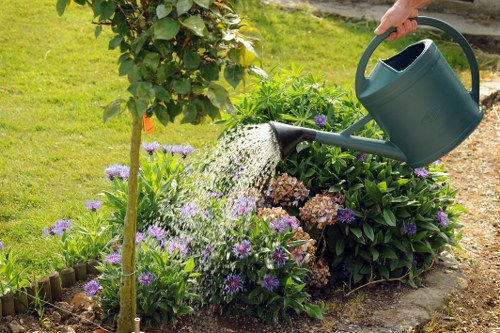 A gardener's hand is visible pouring water from a teal watering can onto vibrant purple and pink flowering plants and green shrubs in a garden bed, with a small tree supported by a stake nearby. The garden features a neatly maintained lawn with lush, dense grass in the foreground, alongside a hedge or shrub border, set within a landscaped outdoor space typical of residential gardens in Tottenham. The plants are well-kept, with healthy foliage and seasonal blooms, contrasting with the surrounding soil and paving. The scene is illuminated by natural daylight, suggesting a clear or partly cloudy day, and portrays an outdoor environment that highlights garden care activities associated with professional gardening and landscaping services offered locally. The planting arrangement showcases a blend of flowering plants and greenery, with the focus on active watering, indicative of ongoing garden maintenance by professionals such as Landscapers Tottenham, supporting overall garden health and appearance.