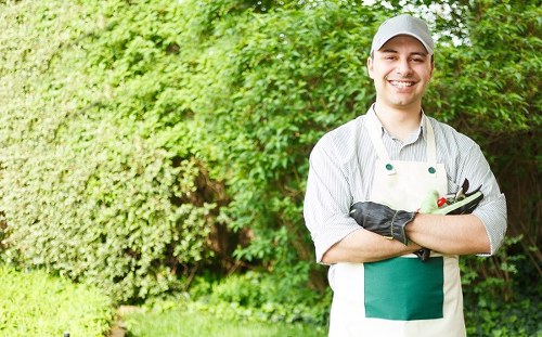 A professional gardener, wearing a white cap and apron with green accents, stands outdoors in a lush garden with vibrant green foliage and well-maintained shrubs in the background. The gardener is smiling and holding a pair of garden tools, suggesting readiness for landscaping or garden maintenance work. The garden features a neatly trimmed hedge, a grassy lawn area with dense, healthy grass, and a section of soil or flower bed bordering the lawn. The environment appears bright and well-lit, indicating a clear day with natural sunlight enhancing the natural tones of the greenery. This setting exemplifies typical outdoor spaces in Tottenham, often requiring regular lawn care, pruning, and landscaping services provided by local gardening specialists like Landscapers Tottenham, who focus on maintaining aesthetically pleasing and functional outdoor environments across residential gardens in the local area.