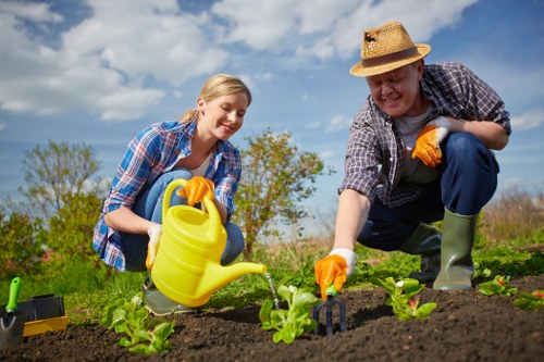 A woman and a man are engaged in gardening activities in an outdoor landscaped area near Tottenham, with lush green grass, a clear blue sky with scattered clouds, and various young vegetable or flower plants growing in neatly prepared soil beds. The woman, wearing a blue plaid shirt, is smiling as she holds a yellow watering can and waters the young plants, while the man, dressed in a straw hat, checkered shirt, and green rubber boots, is using a small gardening fork to tend to the soil beside her. The garden features well-maintained flower beds and areas of exposed soil, with a natural, rural setting that showcases the benefits of professional landscaping and gardening services within a well-kept outdoor space. The scene reflects an active gardening effort on a sunny day, highlighting the importance of proper plant care and landscape maintenance provided by companies like Landscapers Tottenham.