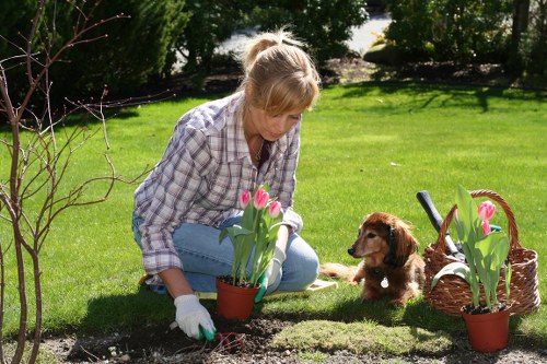 A woman with blonde hair tied back, wearing a checkered shirt and light blue jeans, is kneeling on a well-maintained grassy lawn in a back garden during daytime, planting pink tulips into the soil in front of her. To her right, a small brown puppy is sitting attentively, looking towards her. Nearby, there are two terracotta pots with more pink tulips, placed on the grass, and a wicker basket containing gardening tools and additional plants. The garden features a lush, green lawn bordered by a variety of mature trees, shrubs, and flowering plants, creating a natural and inviting outdoor space suitable for gardening and landscaping activities. The sunlight filters through the trees, highlighting the vibrant colors of the tulips and the fresh green tones of the grass, reflecting a typical well-kept garden in the Tottenham area. This scene emphasizes outdoor maintenance and planting, aligned with professional gardening services offered by Landscapers Tottenham in the local area.