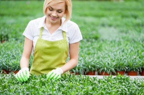 A young woman with short blonde hair, dressed in a white shirt and wearing a bright green apron and gloves, is working in a garden nursery or plant nursery, carefully tending to rows of lush, green seedlings in small pots. The background features neatly organized rows of potted plants in a well-maintained outdoor setting, with vibrant green grass and multiple trays of various plants. The scene is set outdoors on a bright, slightly overcast day, emphasizing natural light and typical gardening activity. The environment appears professional and tidy, indicative of a landscaping service environment in Tottenham, with a focus on plant care and garden preparation, supporting landscaping and gardening services offered by Landscapers Tottenham.