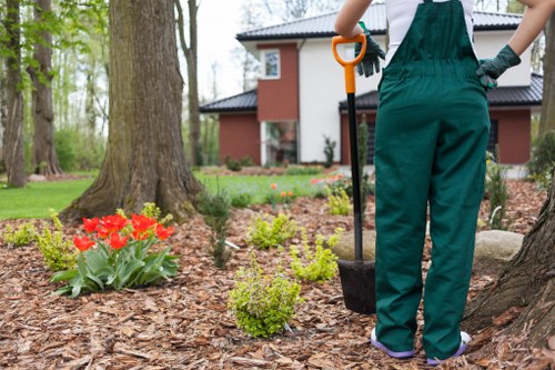 Eco-friendly lawn mowing practices
